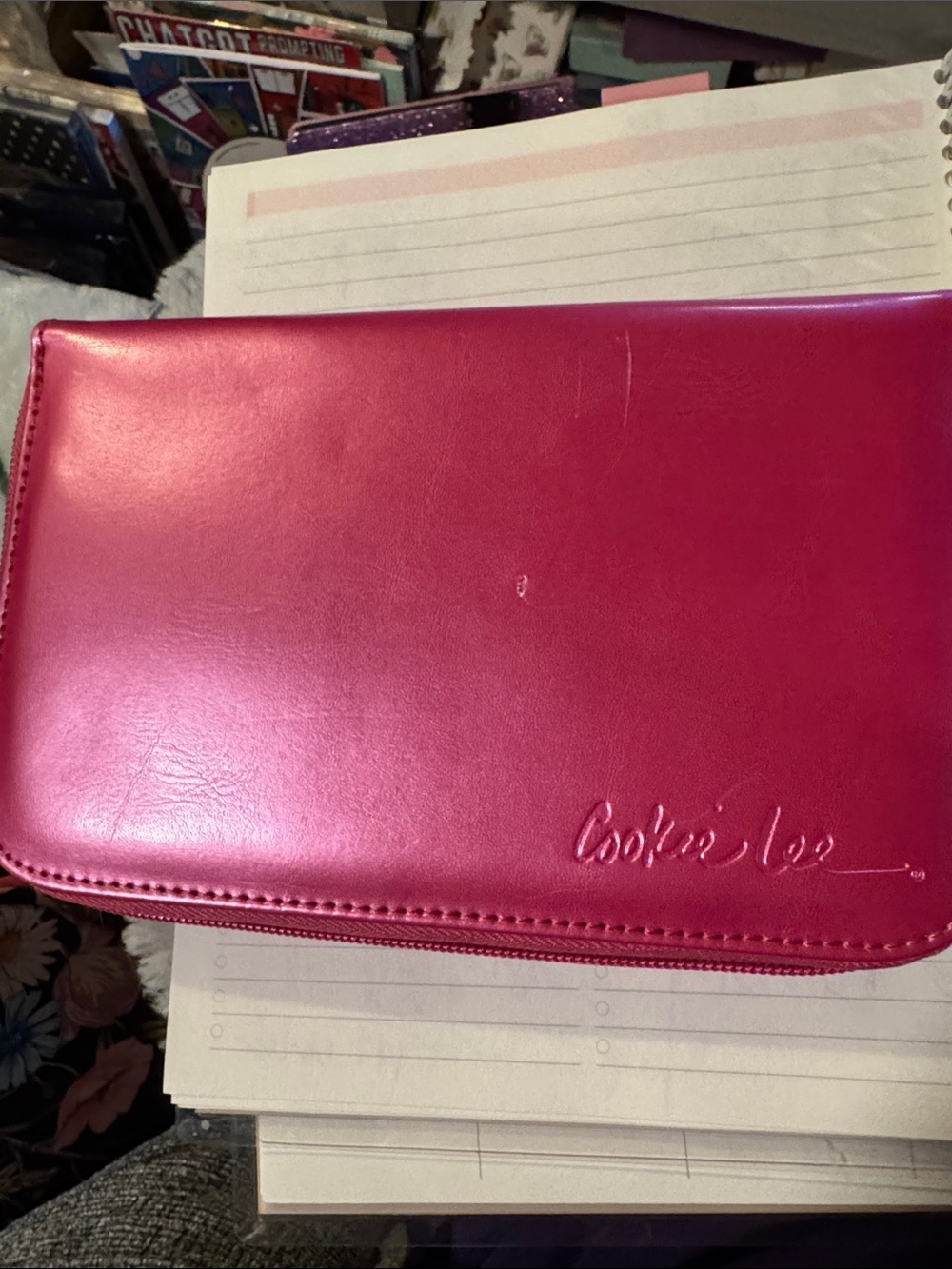 Cookie Lee Hot Pink Zip jewelry case